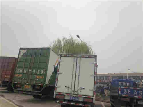 蘇州市順佳物流 專業(yè)連接蘇州與浙江的大件運輸服務(wù)專家